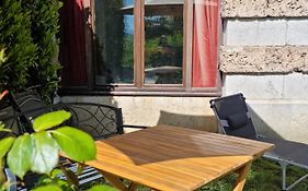 Chateau D'Uriage - Duplex Avec Terrasse Privative