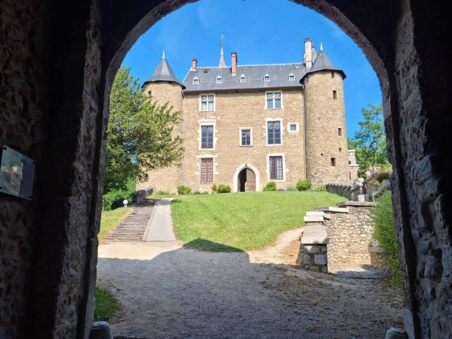 Chateau D'Uriage - Duplex Avec Terrasse Privative Saint-Martin-dʼUriage Extérieur photo